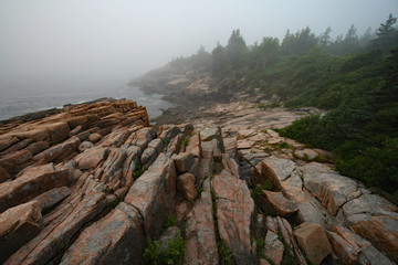 The rugged granite coast of Acadia National Park, Maine, on a foggy summer morning.