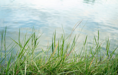 Water surface with ripples and sunlight reflections