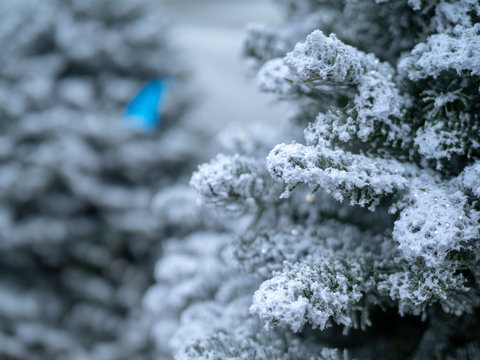 Close up of Christmas tree covered in white flocking spray and powder for snow look