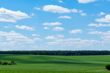 Wide green meadows with the shadow of clouds flying over them