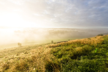 Obraz premium Nasse Wiese im Morgennebel, Höhenrain, Bayern, Deutschland.