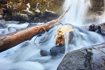 stones and tree branch under small cascading waterfall