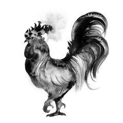 rooster, chicken, bird painted on white background. Chinese, Japanese ink painting, watercolor.