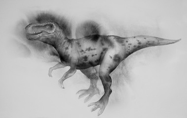 dinosaur, Tyrannosaurus Rex, painted in colors, isolated on white background. the monster, reptile of the Jurassic period.