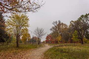 autumn in the city park