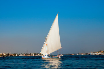 Felucken auf dem Nil