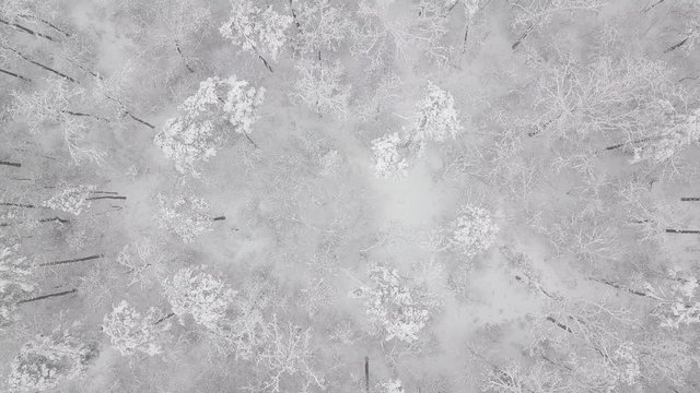 Aerial view of the winter background with a snow-covered forest and lake from above captured with a drone in USA