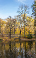 autumn in the park