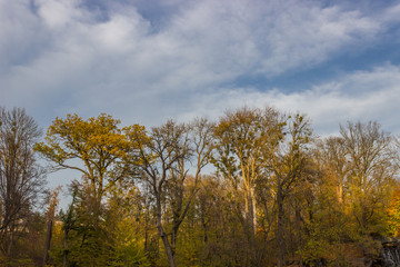 Fototapeta premium autumn in the park