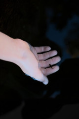 mano bajo agua oscura y pez entre los dedos