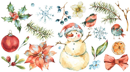 Winter Watercolor Christmas set of  Tree Branches, birds, holly, snowman, berries, poinsettia.