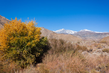 Scenic California Desert Landscape in Fall
