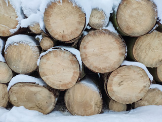 Background of dry chopped firewood logs stacked up on top of each other in a pile in winter