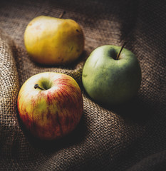 Apples on jute sack background. Autumn season harvest