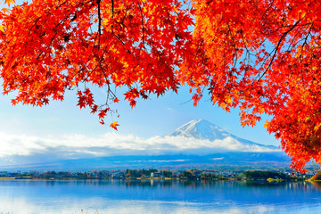 Fototapeta premium View of the maple leaves in autumn at Lake Kawaguchi in Japan with the Mount Fuji in the background.