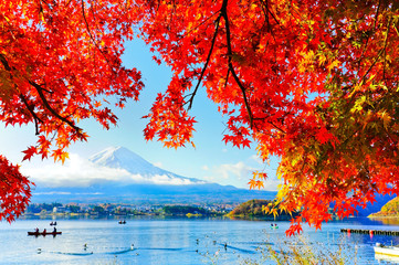 Naklejka premium View of the maple leaves in autumn at Lake Kawaguchi in Japan with the Mount Fuji in the background.