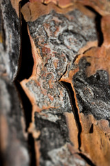 Ermita San Cristóbal (Oríto) Alicante