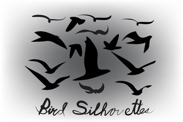 Set of birds silhouettes vector icon
