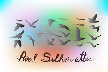 Set of birds silhouettes vector icon