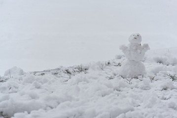 Tiny Snowman