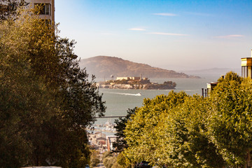 View of Alcatraz with Trees in the Foreground 