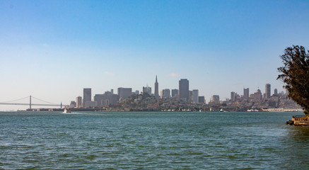Obraz premium San Fransisco Skyline
