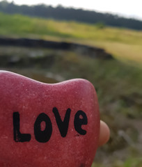  stone in the shape of a heart, with written "love"