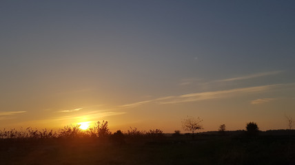 Fototapeta na wymiar sunset in field