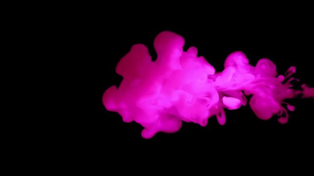 Pink color paint ink drops in water slow motion 4k video black background with copy space. Inky cloud swirling flowing underwater. Abstract isolated smoke explosion