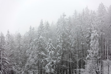 Zimowy krajobraz w polskich górach - obrazy, fototapety, plakaty