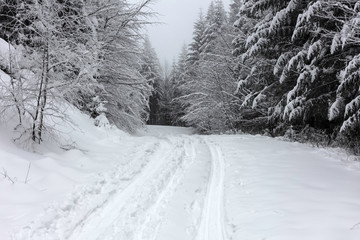 Zimowy krajobraz w polskich górach