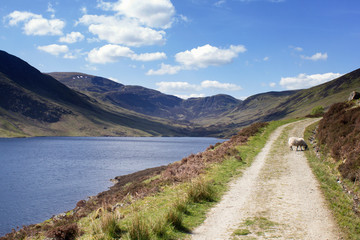 Fototapeta na wymiar Reservoir in the Scottish Highlands 