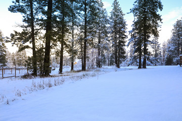 Snow covered back yard of the large country side estate with fenced garden area.