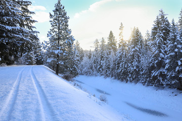 Obraz premium WInter day with fresh snow, fir trees, water canal, road and tracks