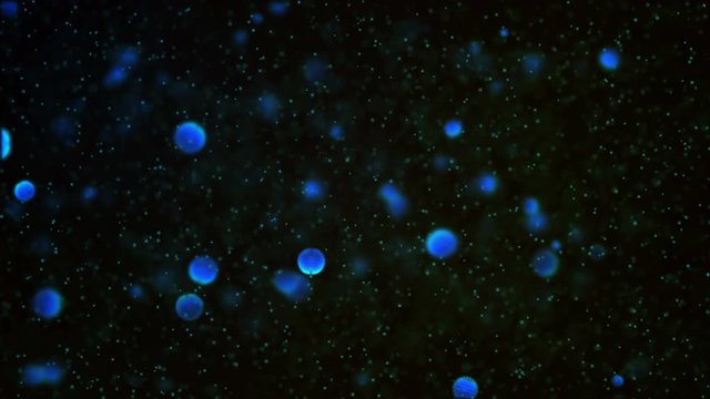4k footage moving Blood cells, bacteria and virus traveling through a vein. bubble air particle in the water, science biology blood cell and virus concept