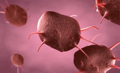 3d illustration of an activated platelets, also called thrombocytes responsible for the healing and closure of wounds
