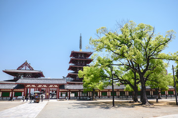 pagoda, buddisth temple, osaka, japan