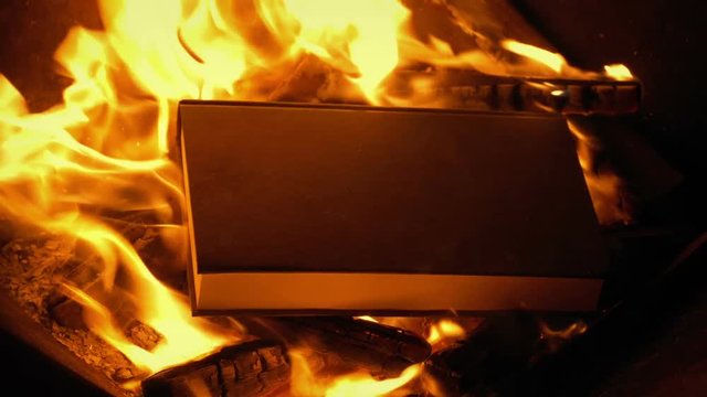Book Is Thrown Into Fire