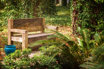 An old wooden bench spoiled by wind and rain stands in a city park