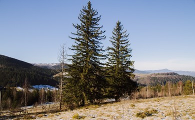 Hutsul Landscape in the Mikulichyn