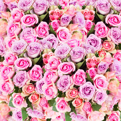 Obraz na płótnie Canvas bouquet of fresh roses