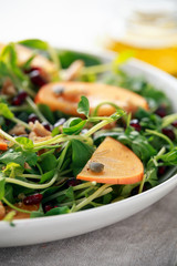 Tasty Persimmon and pea shoot salad with walnuts, pomegranate and pumpkin seed in a white plate