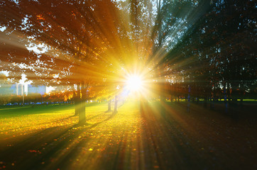 Dramatic light leak at autumn park landscape background