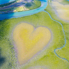 Heart of Voh, aerial view, formation of mangroves vegetation resembles a heart seen from above, New...
