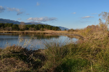 landscape with lake and blue sky