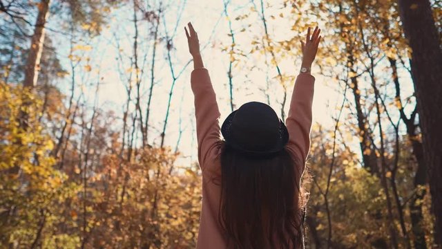 Lonely young woman is admiring fall forest view in sunny day. She is inspiring by it and raising hands over head, breathing fresh air, back view
