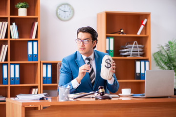 Lawyer working in the office