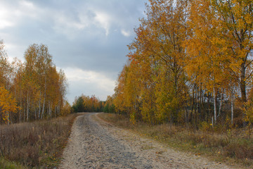 road in autumn