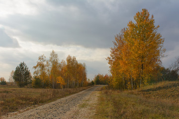 road in autumn