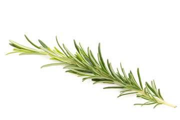 Rosemary spice on the white background.